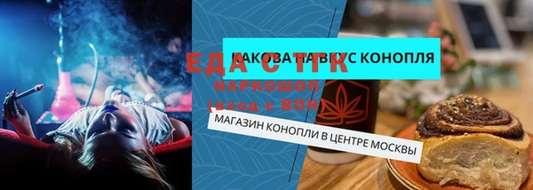 шишки Горняк