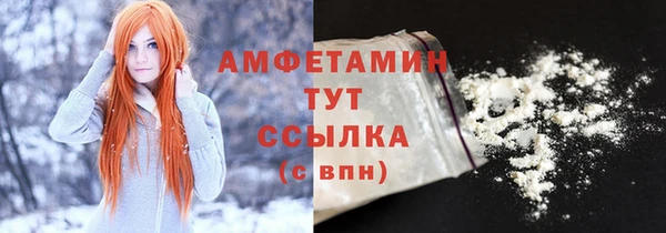 шишки Горняк