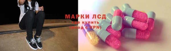 гидра Гусь-Хрустальный
