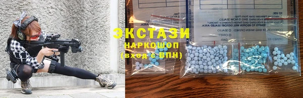 шишки Горняк