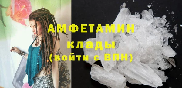 гидра Гусь-Хрустальный