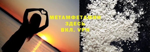 шишки Горняк